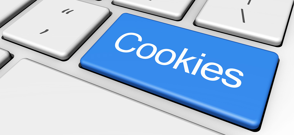 Slide Image. Vector image of keyboard with cookies key